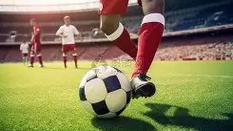 荷兰足球盛宴：范戴克领衔，德利赫特、哈维-西蒙斯三剑客首发对决立陶宛！