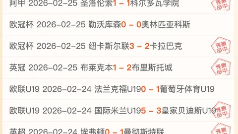 霍芬海姆VS圣保利德甲分析预测