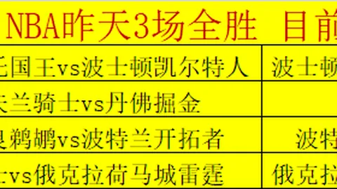 巴西柔術40歲宗師：動靜交融，繼承傳統開創家業新篇章